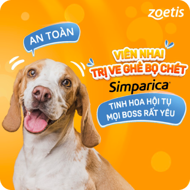 ZOETIS GLOBAL